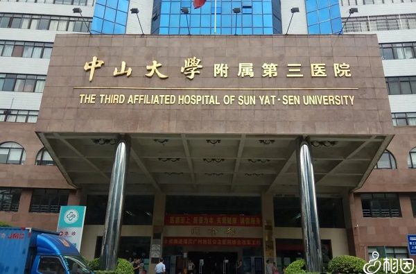 试管一个卵