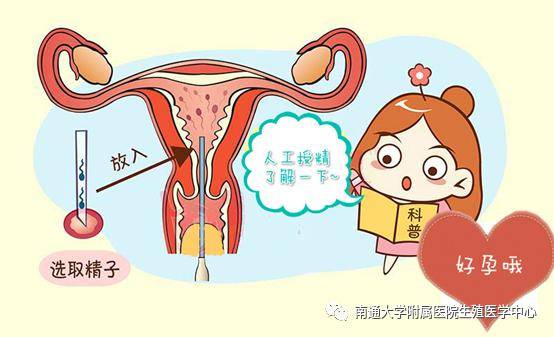北京助孕试管婴儿