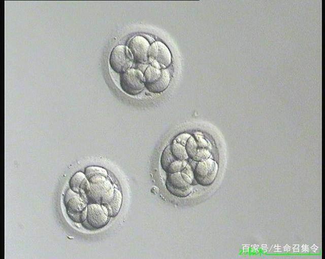 原平不孕不育