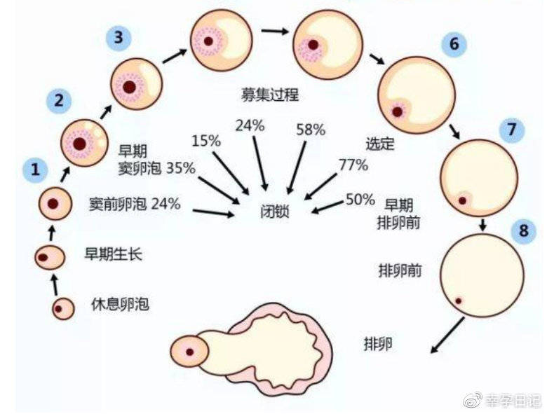 不孕不育