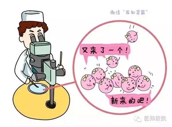 妇科咨询