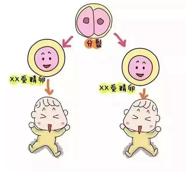北京试管婴儿