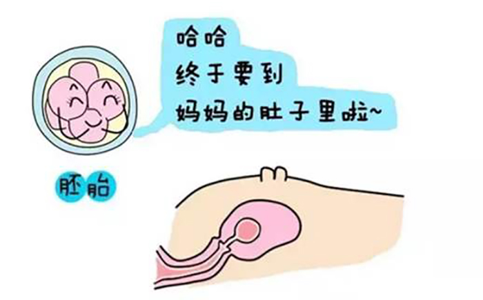 北京试管婴儿