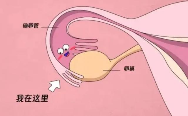 南通试管