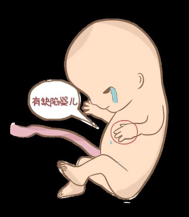 试管婴儿捐卵