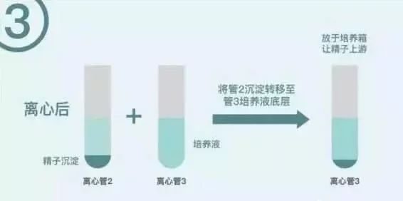 南昌试管医院