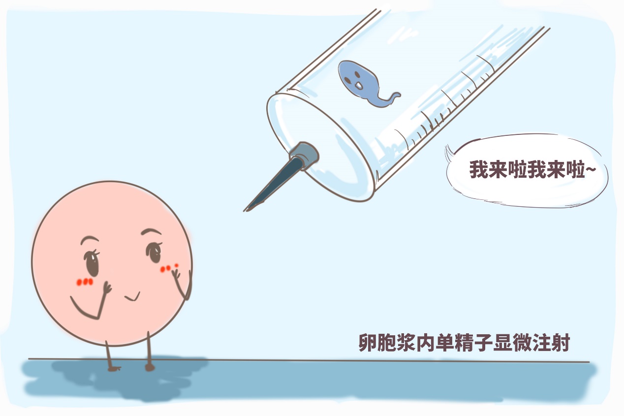 医用试管