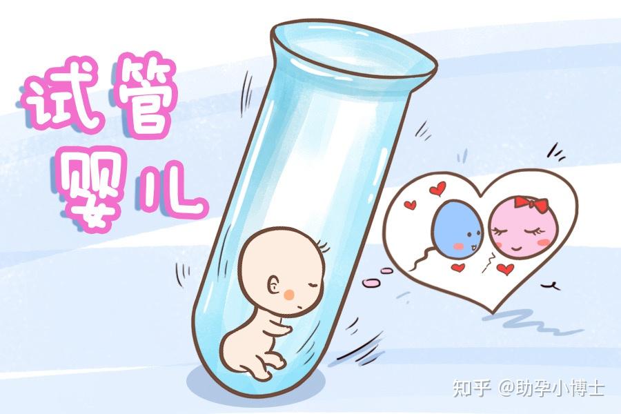 北京试管婴儿成功率