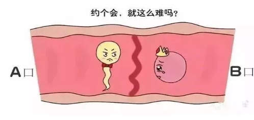北京试管婴儿