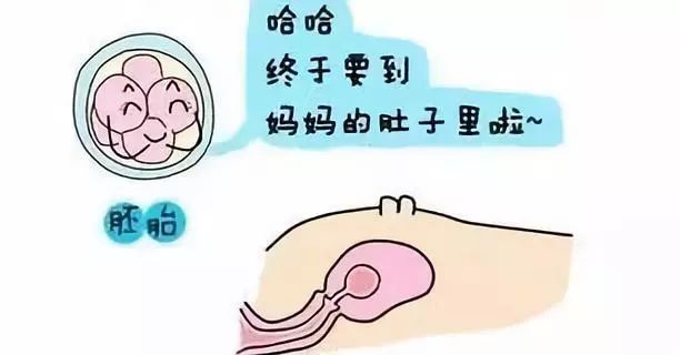 卵巢不孕