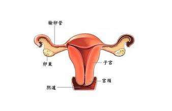 试管婴儿费用