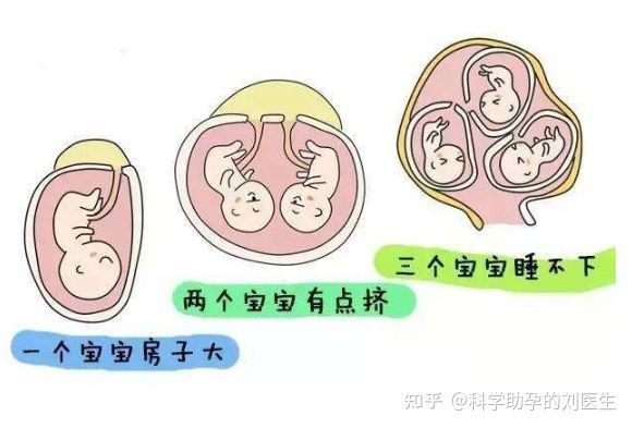 费用