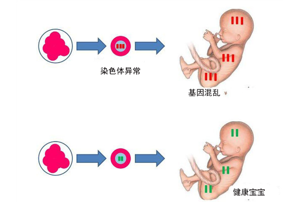华西试管婴儿