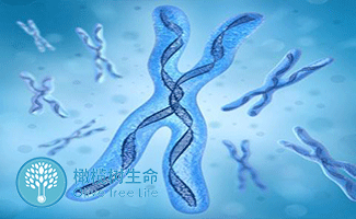 卵巢功能衰退
